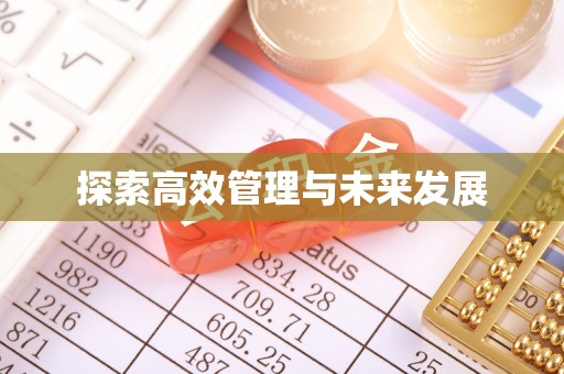 汉南探索高效管理与未来发展
