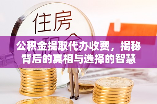 汉南公积金提取代办收费，揭秘背后的真相与选择的智慧