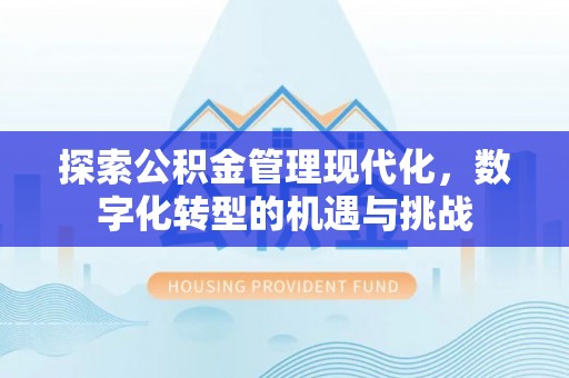 汉南探索公积金管理现代化，数字化转型的机遇与挑战