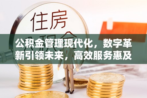 汉南公积金管理现代化，数字革新引领未来，高效服务惠及民生