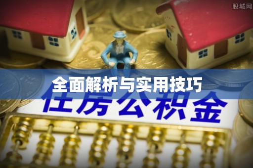 汉南全面解析与实用技巧