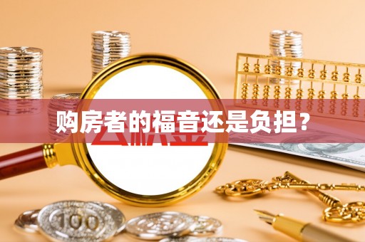 汉南购房者的福音还是负担？