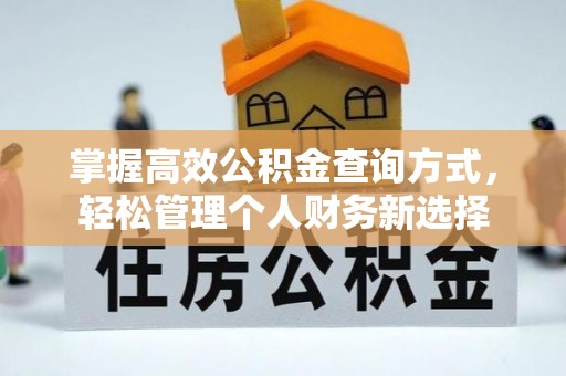 汉南掌握高效公积金查询方式，轻松管理个人财务新选择