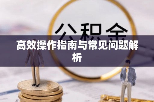 汉南高效操作指南与常见问题解析