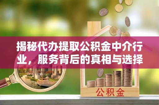 汉南揭秘代办提取公积金中介行业，服务背后的真相与选择指南