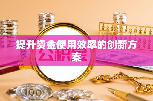 汉南提升资金使用效率的创新方案