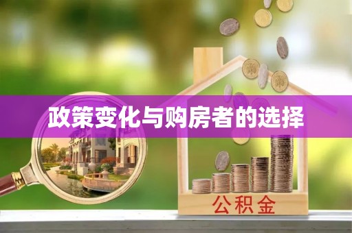 汉南政策变化与购房者的选择