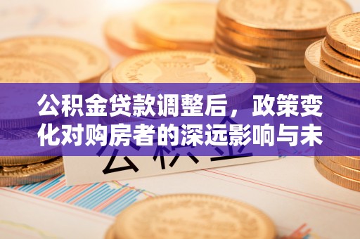 汉南公积金贷款调整后，政策变化对购房者的深远影响与未来趋势分析