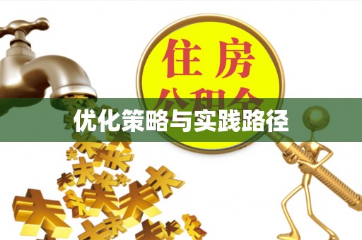 汉南优化策略与实践路径
