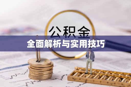 汉南全面解析与实用技巧