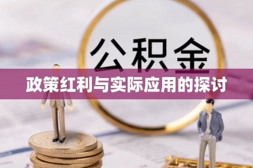 汉南政策红利与实际应用的探讨
