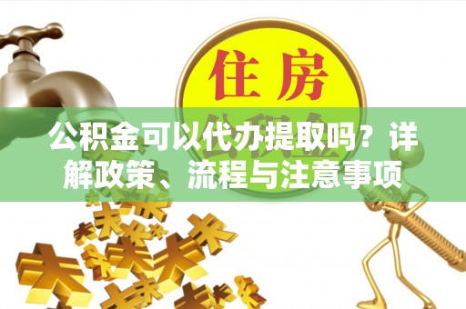 汉南公积金可以代办提取吗？详解政策、流程与注意事项