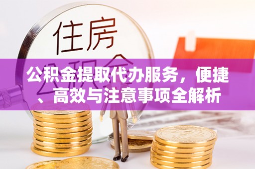 汉南公积金提取代办服务，便捷、高效与注意事项全解析