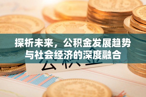 汉南探析未来，公积金发展趋势与社会经济的深度融合