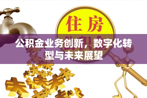 汉南公积金业务创新，数字化转型与未来展望