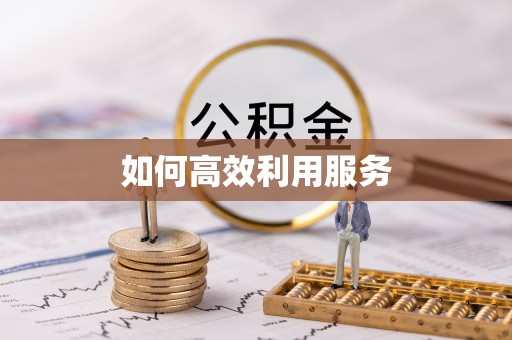汉南如何高效利用服务