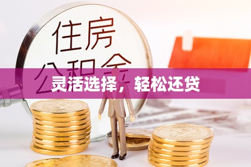 汉南灵活选择，轻松还贷