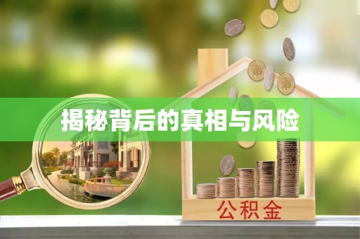 汉南揭秘背后的真相与风险