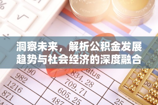 汉南洞察未来，解析公积金发展趋势与社会经济的深度融合