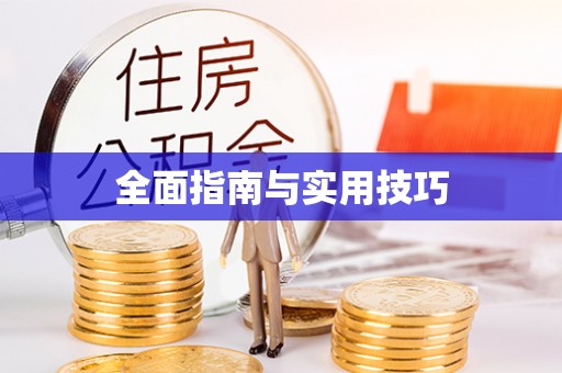 汉南全面指南与实用技巧