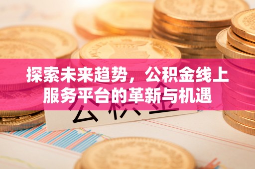 汉南探索未来趋势，公积金线上服务平台的革新与机遇
