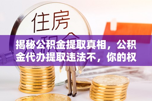 汉南揭秘公积金提取真相，公积金代办提取违法不，你的权益如何保障？
