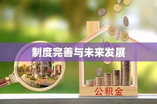 汉南制度完善与未来发展