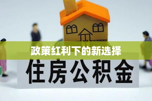 汉南政策红利下的新选择