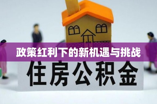汉南政策红利下的新机遇与挑战