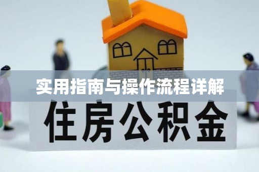 汉南实用指南与操作流程详解