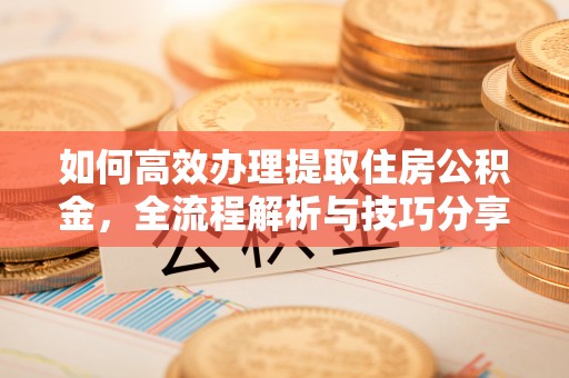 汉南如何高效办理提取住房公积金，全流程解析与技巧分享