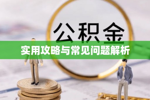 汉南实用攻略与常见问题解析