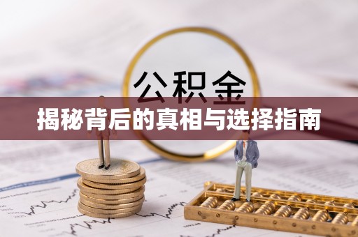 汉南揭秘背后的真相与选择指南