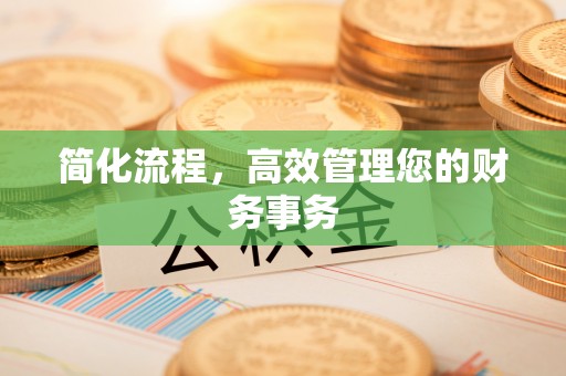 汉南简化流程，高效管理您的财务事务
