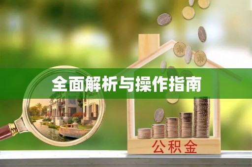 汉南全面解析与操作指南