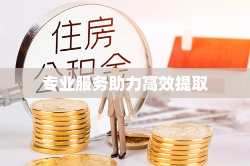 汉南专业服务助力高效提取