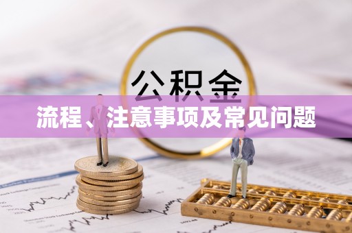 汉南流程、注意事项及常见问题