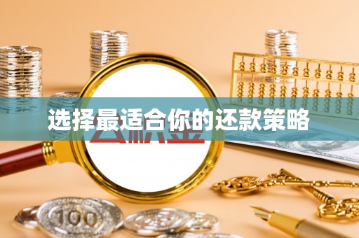 汉南选择最适合你的还款策略