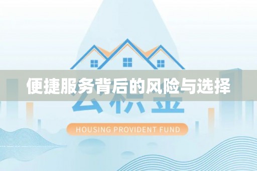 汉南便捷服务背后的风险与选择